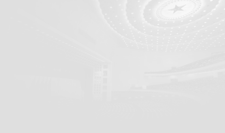 項(xiàng)目管理標(biāo)準(zhǔn)化